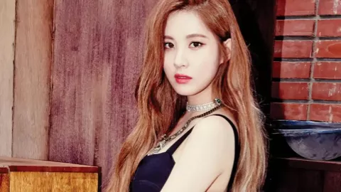 老人花8年修200米木梯