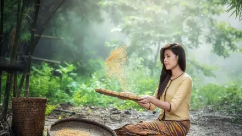 鸡排哥晒检测报告回应质疑