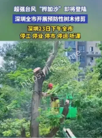 超强台风桦加沙深圳路径